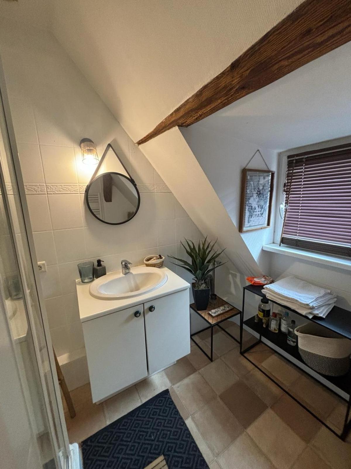 Charmant Appartement Proche Strasbourg A Eckwersheim Экстерьер фото