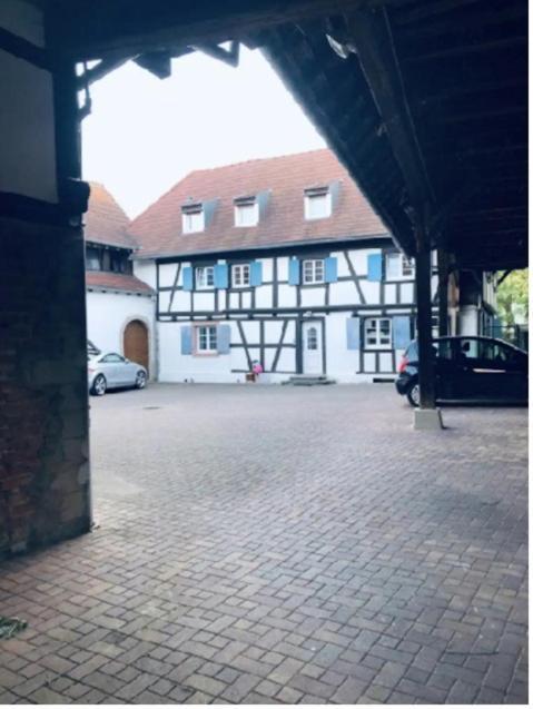 Charmant Appartement Proche Strasbourg A Eckwersheim Экстерьер фото